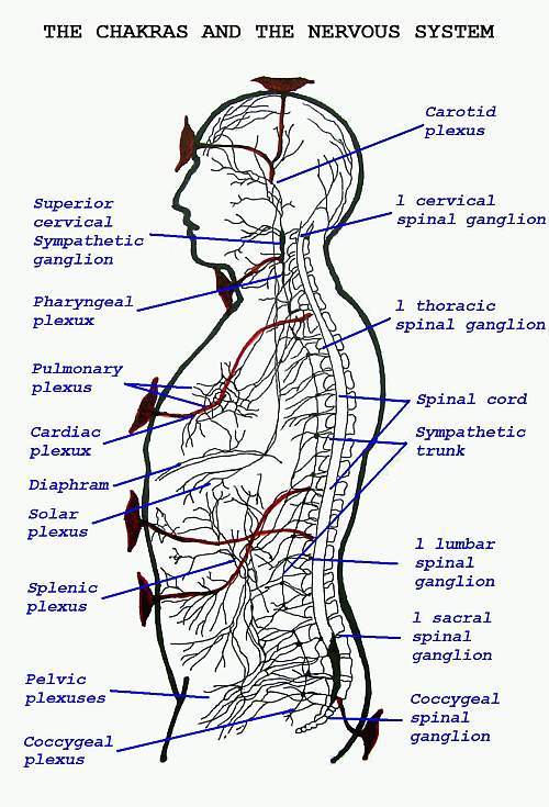 [Image: chakras_chart_leadbeater_500x735.jpg]